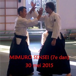 Mimuro Sensei Aikido stage 30 mei 2015