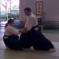 Aikido - Mimuro Sensei (7th dan) (2)