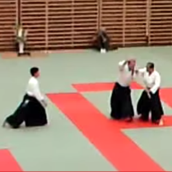Aikido - Tada Shihan (9th dan)